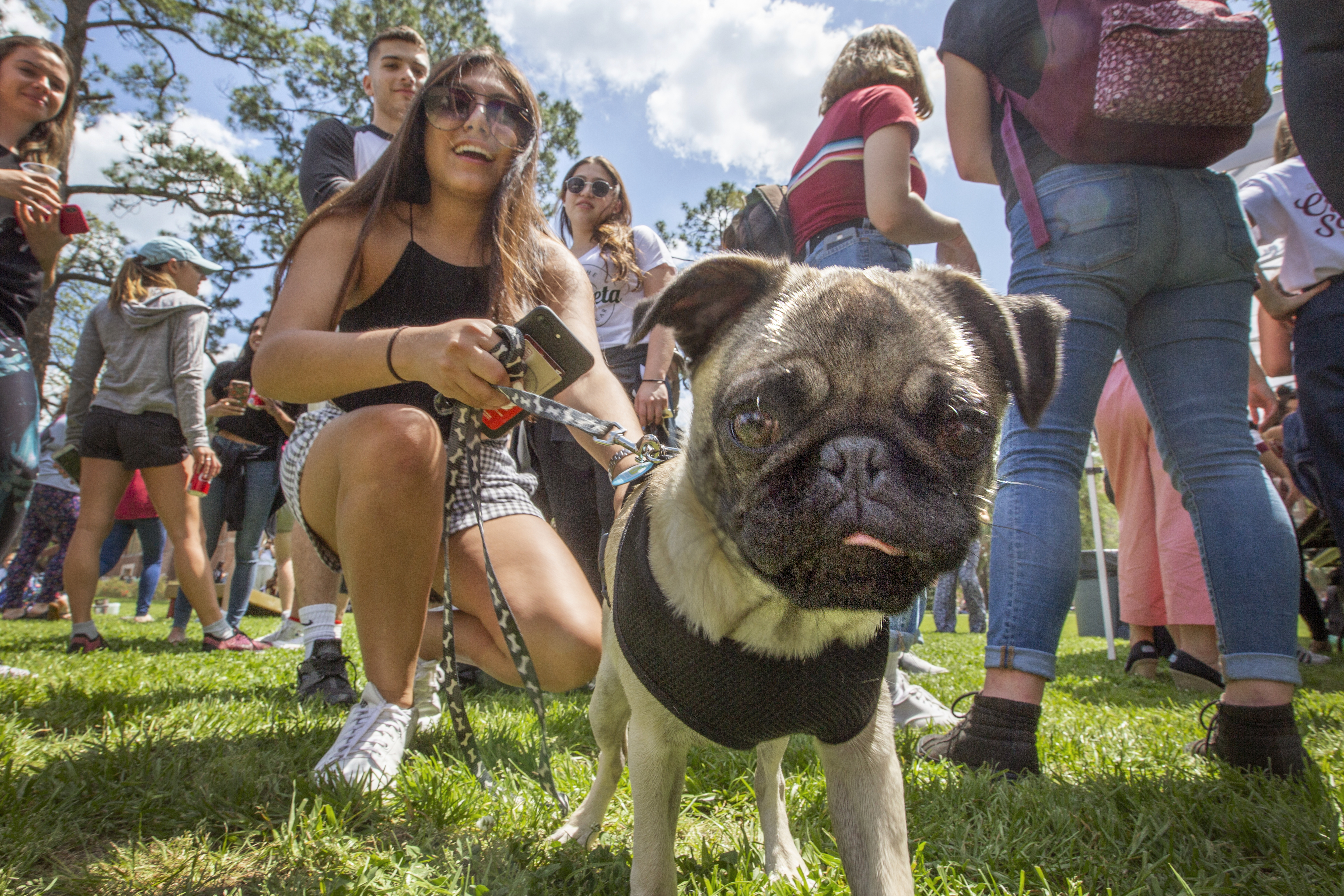woman smiling and crouching behind a pug dog
