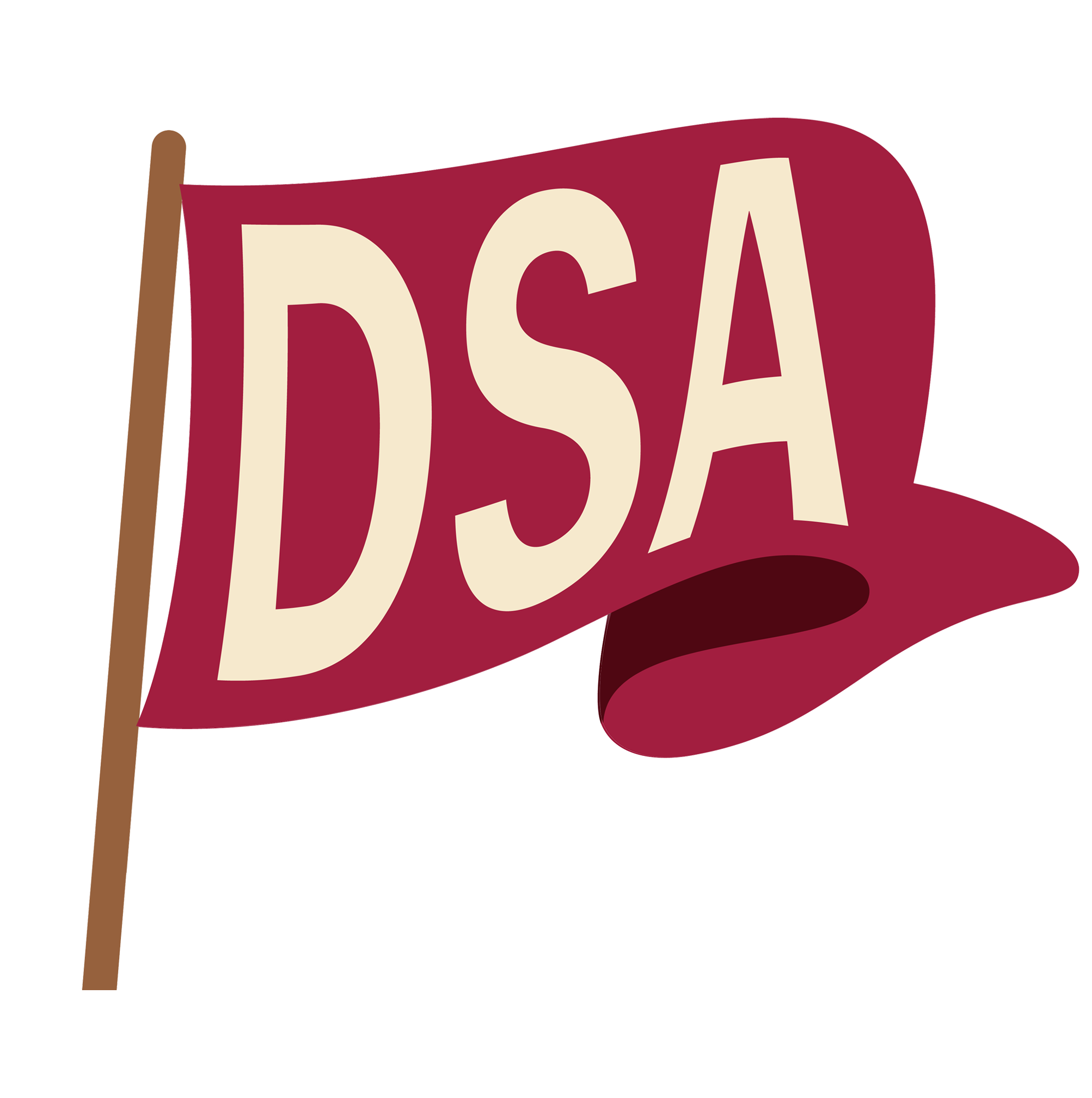 DSA flag